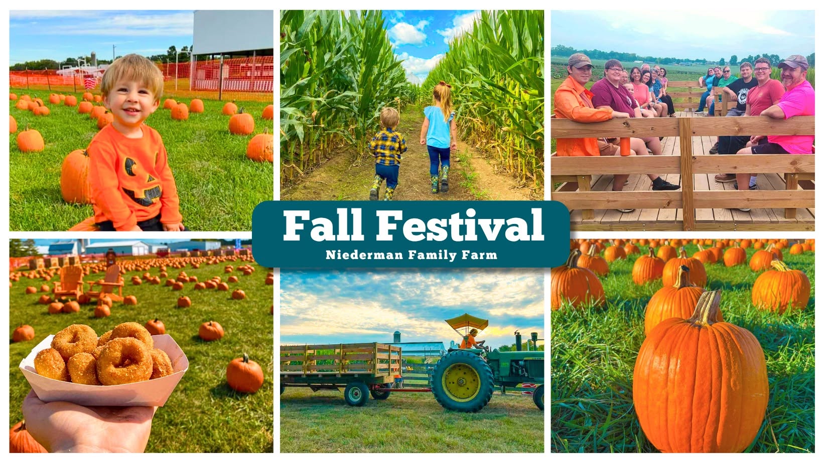 Niederman Family Farm Fall Festival